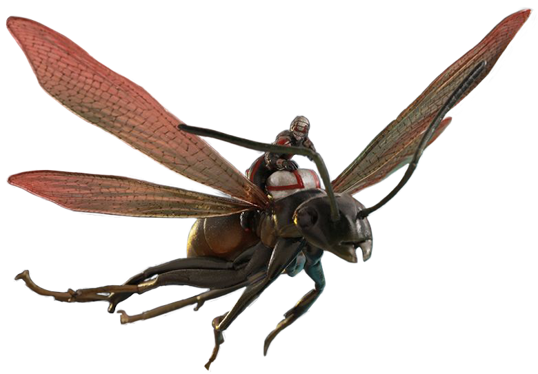 Ant-Man Download Png Transparent PNG Image