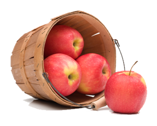 Apple Fruit Picture Transparent PNG Image