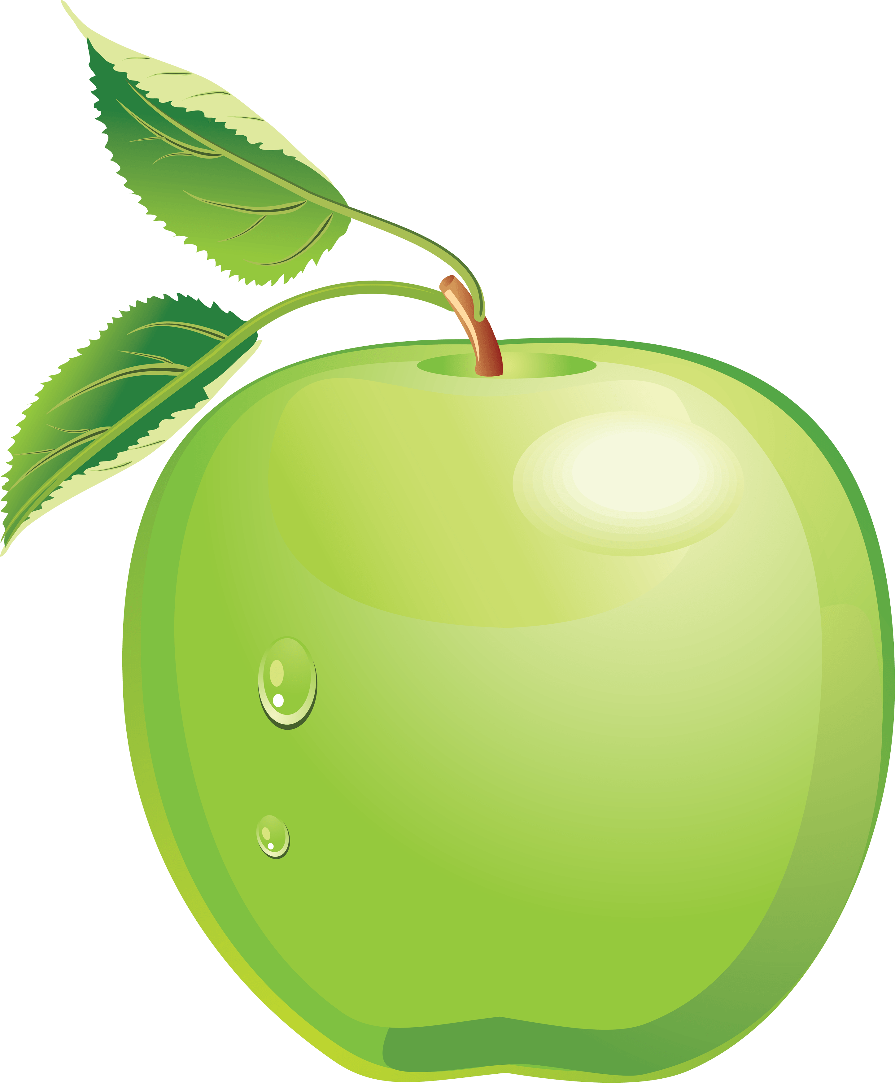 Green Apple Png Image Transparent PNG Image