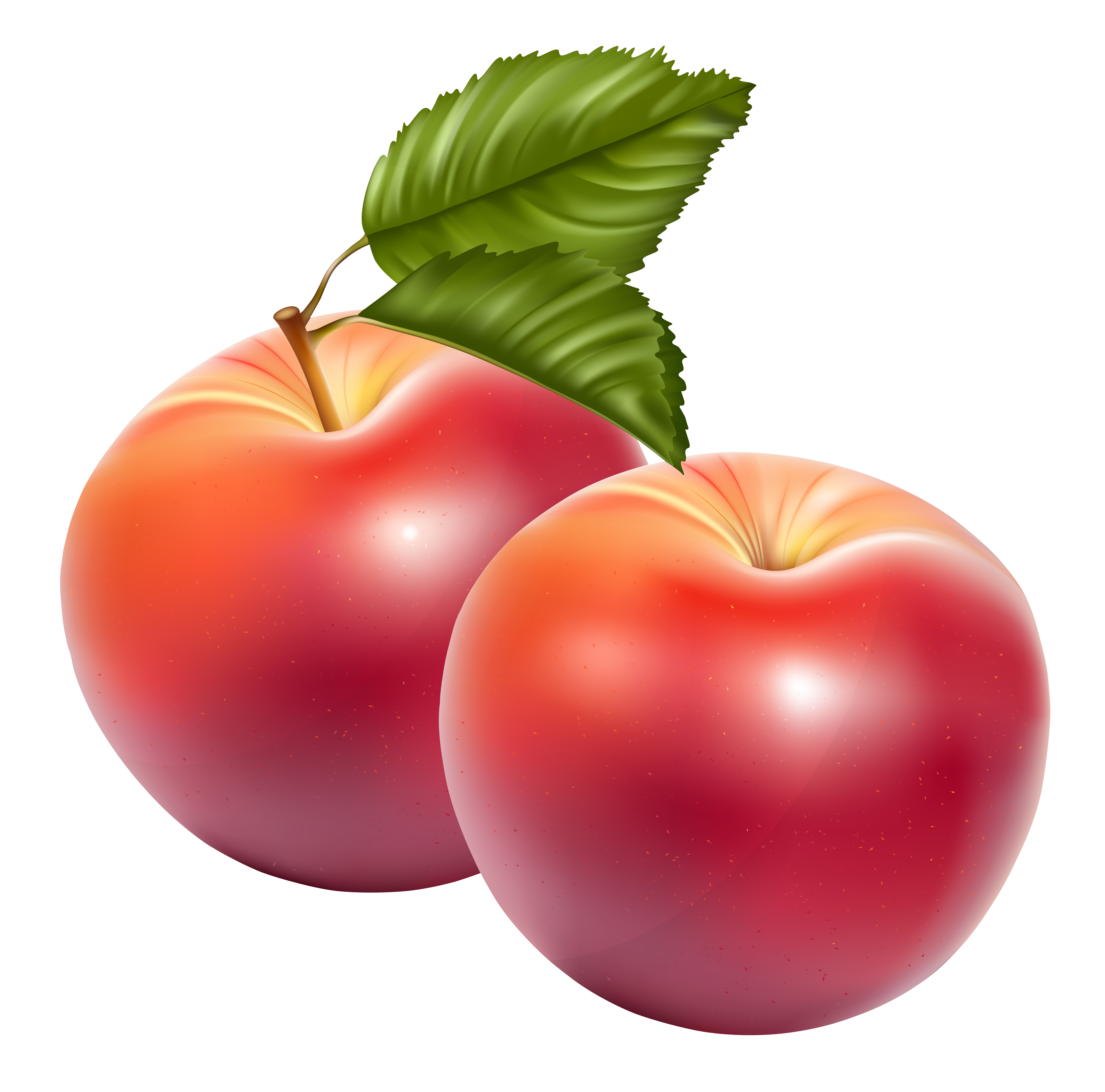 Apple Fruit Png Image Transparent PNG Image