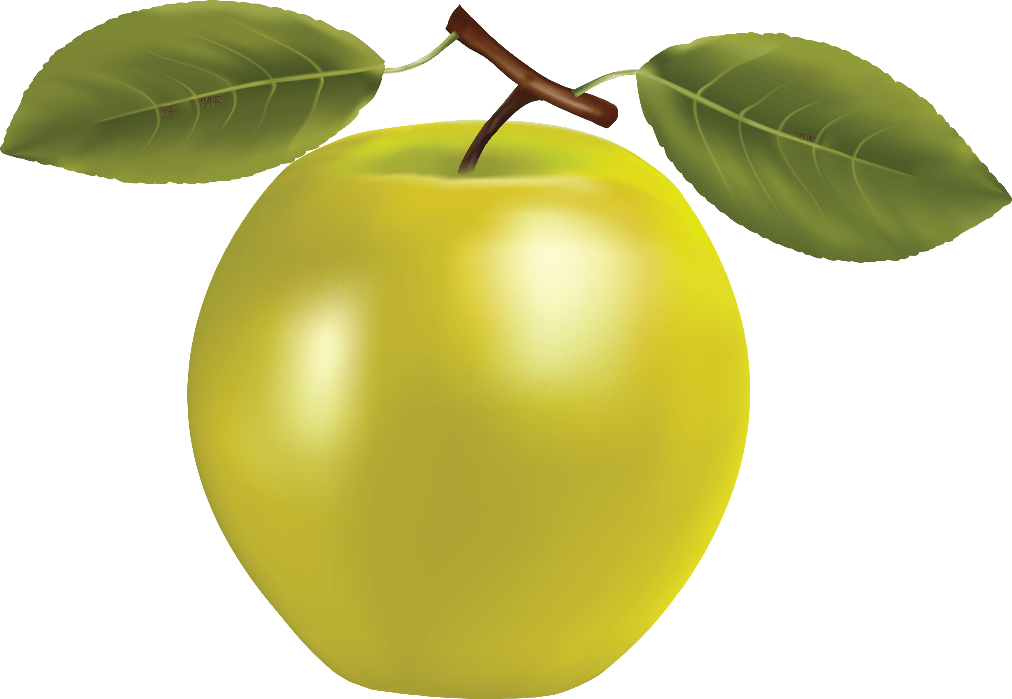 Png Apple Image Clipart Transparent Png Apple Transparent PNG Image