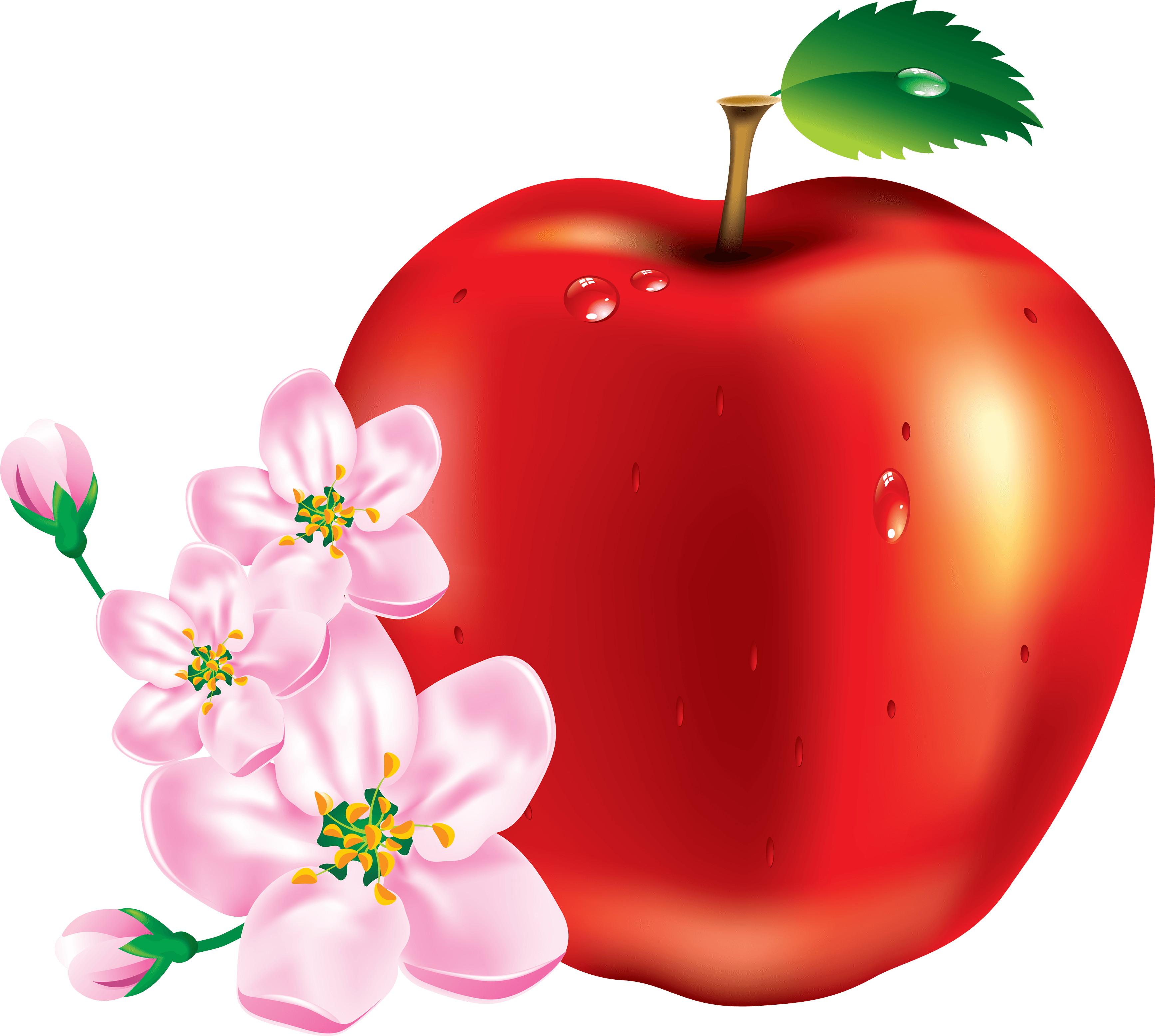 Red Apple Png Image Transparent PNG Image