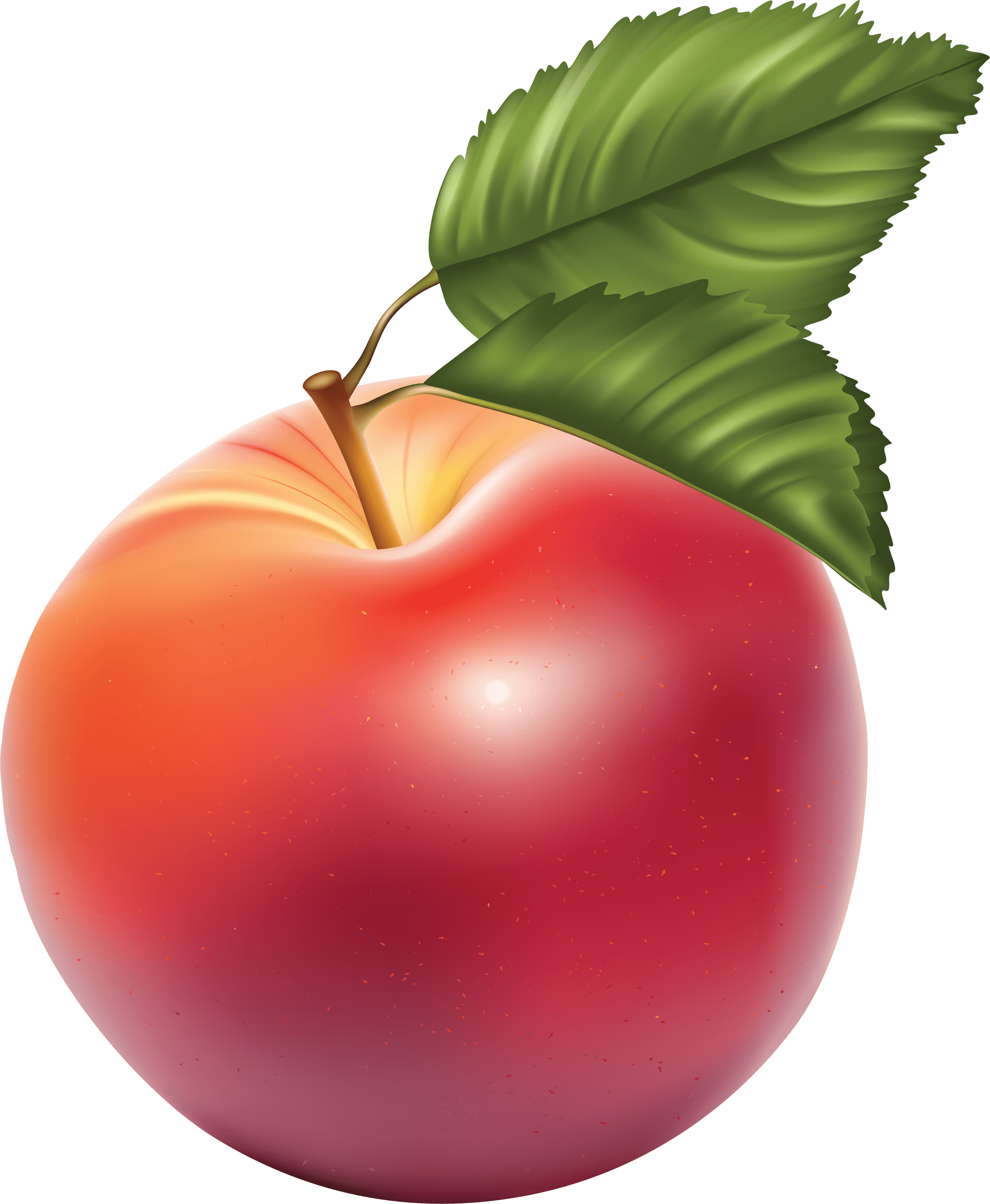 Png Apple Image Clipart Transparent Png Apple Transparent PNG Image