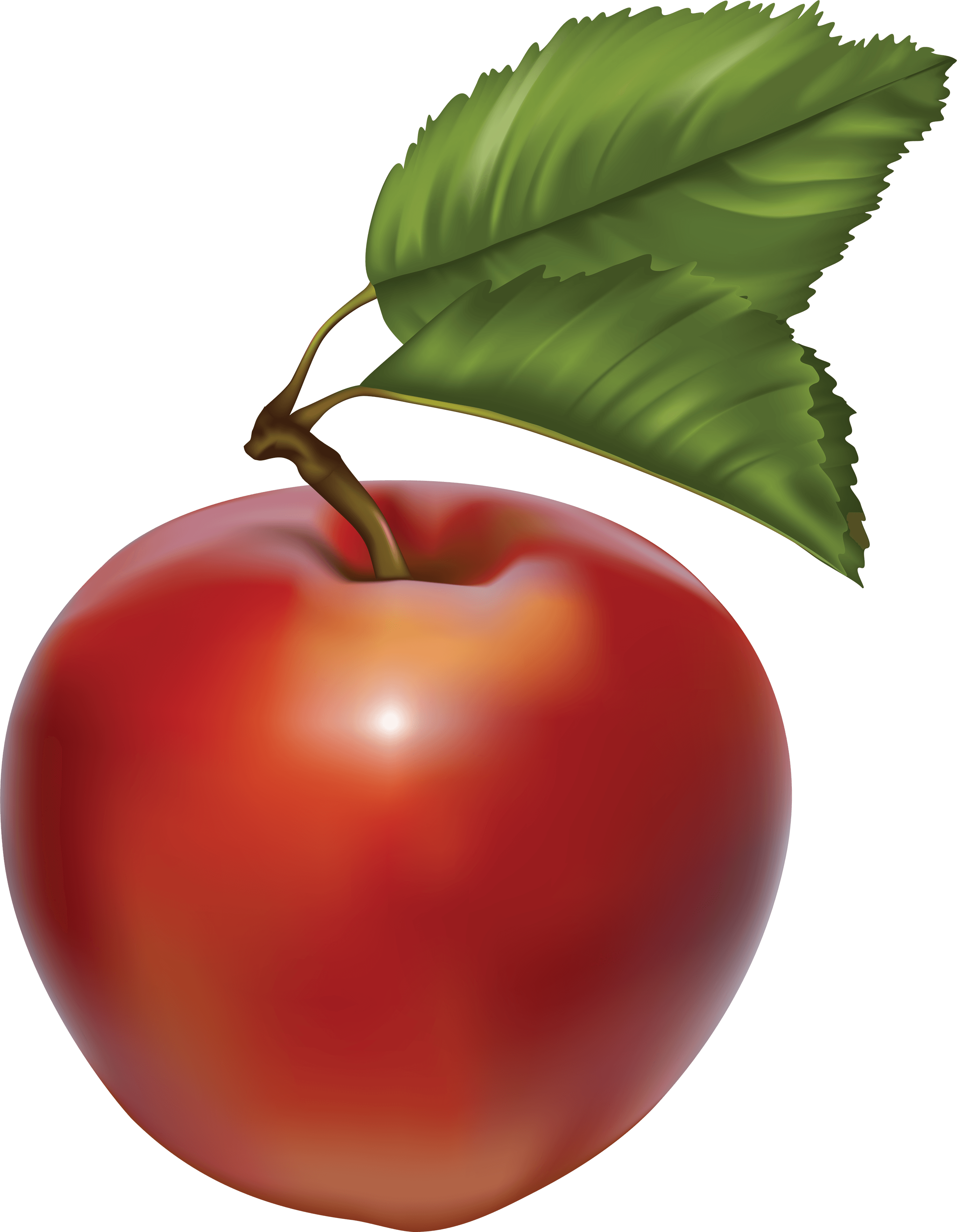 Green Apple Png Image Transparent PNG Image