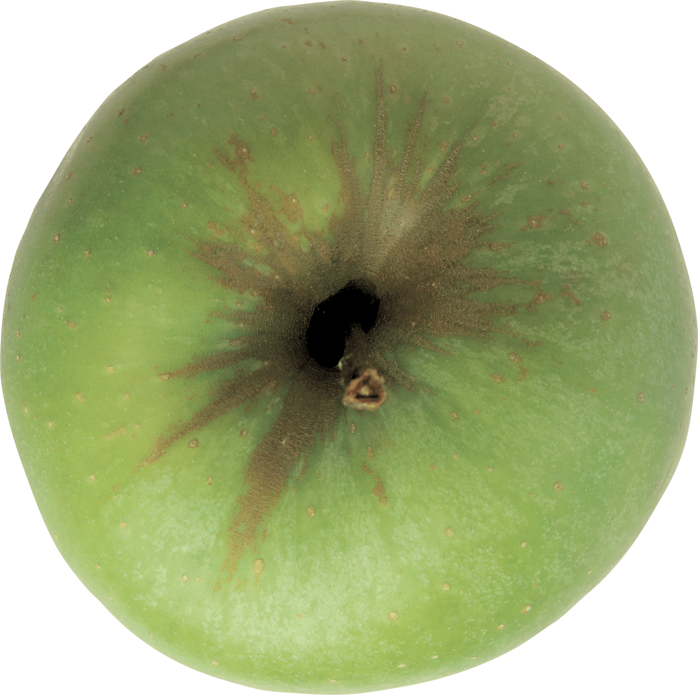 Green Apple Png Image Transparent PNG Image