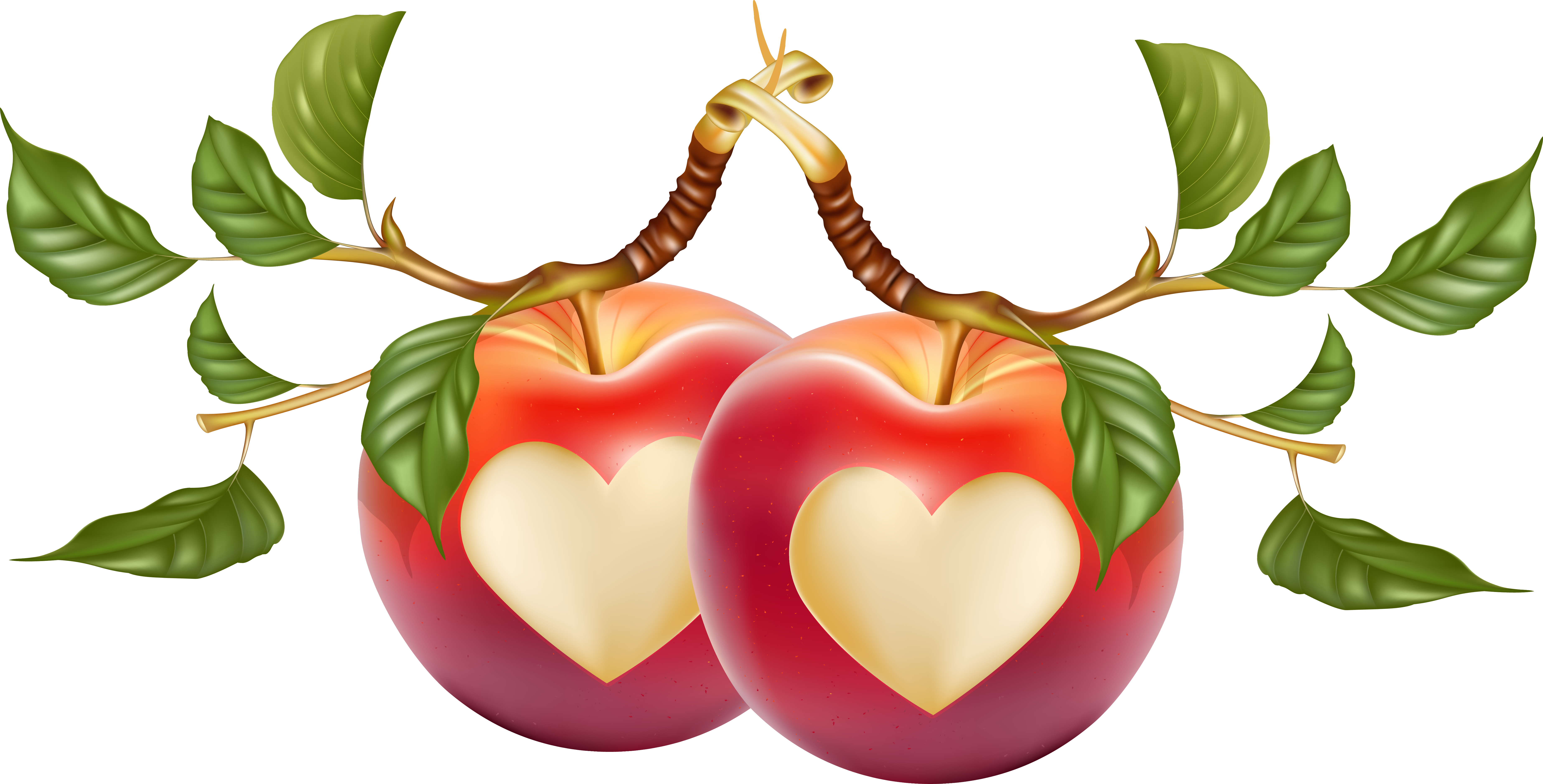 Vector Heart-Shaped Apple HQ Image Free PNG Transparent PNG Image