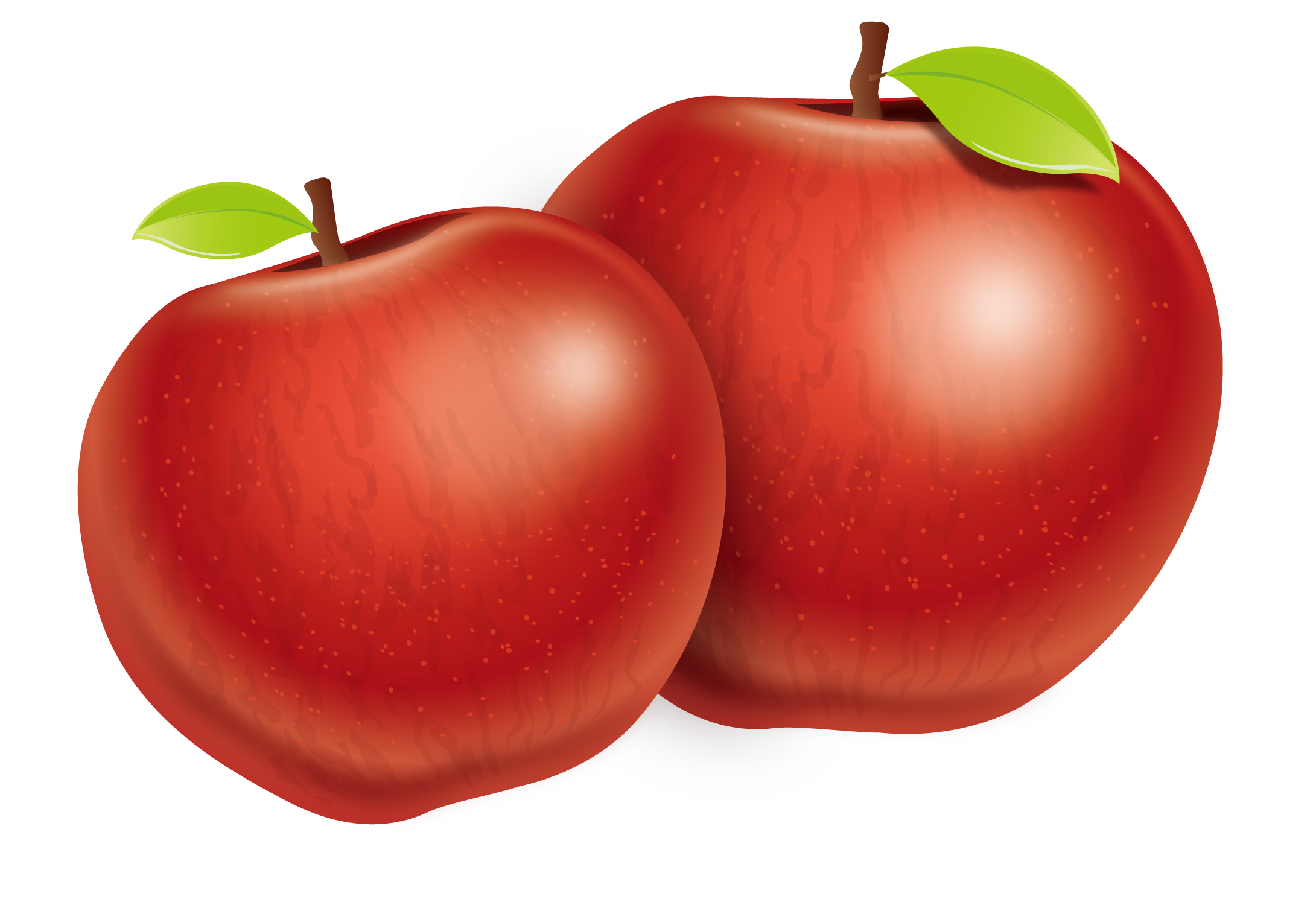 Tomato Apple Plum Two Fuji Vector Apples Transparent PNG Image