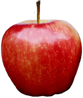 Apple Png Image Transparent PNG Image