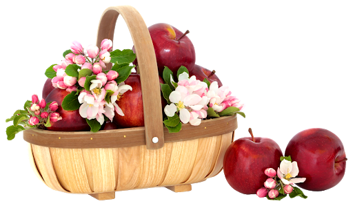 Basket Apple Download HD Transparent PNG Image