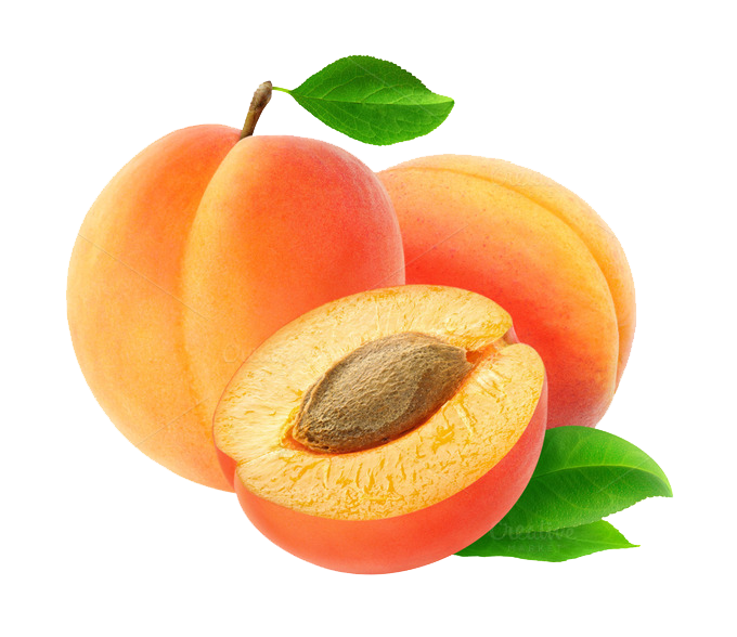 Apricot Pic Up Close Free Download Image Transparent PNG Image