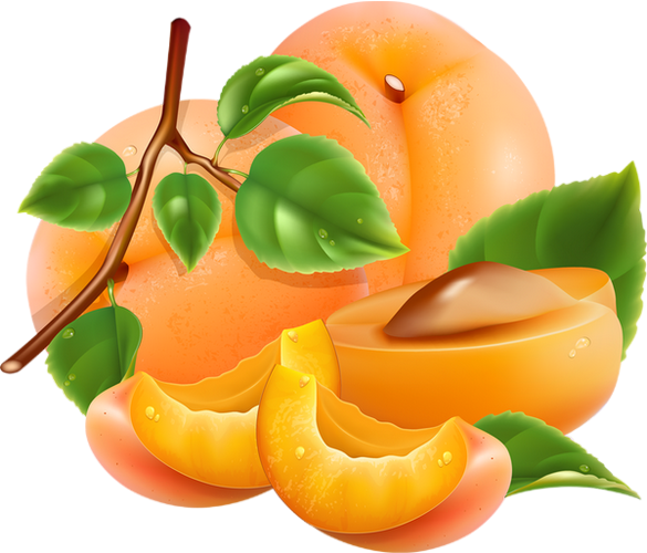 Apricot Up Close Free Download PNG HQ Transparent PNG Image