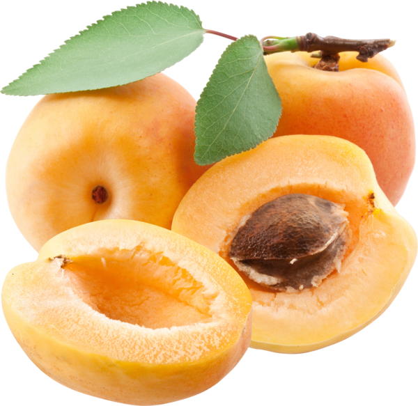 Apricot Up Close Free Download PNG HD Transparent PNG Image