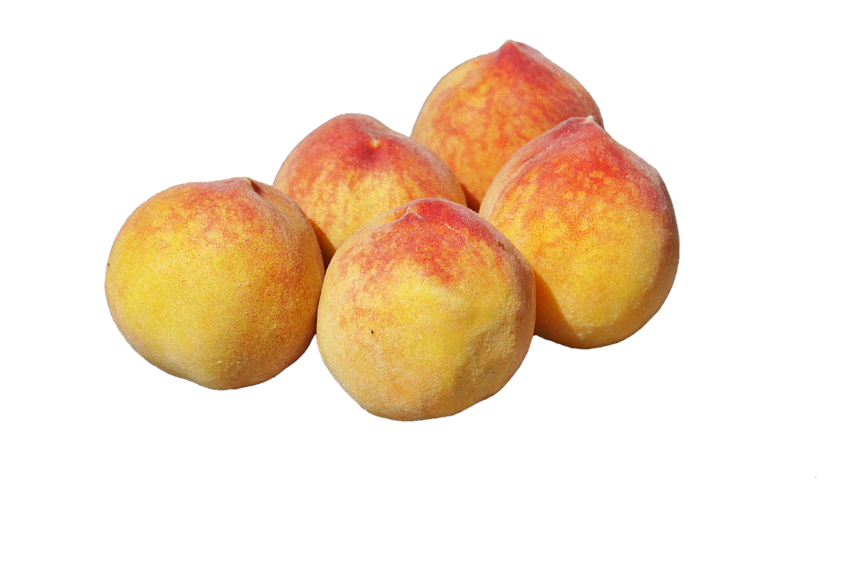 Images Apricot Up Close PNG Download Free Transparent PNG Image