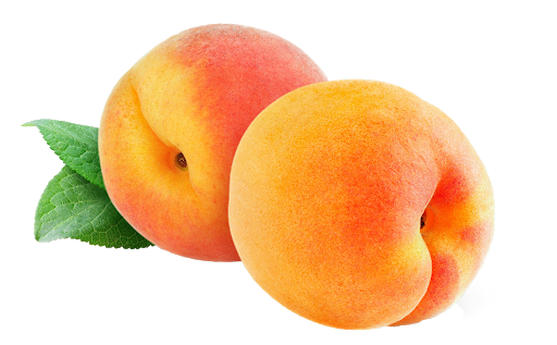 Apricot Fruit Download HQ Transparent PNG Image