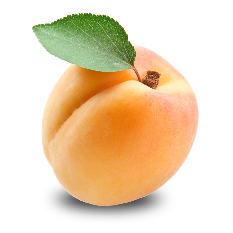 Apricot Fruit Free Download PNG HD Transparent PNG Image