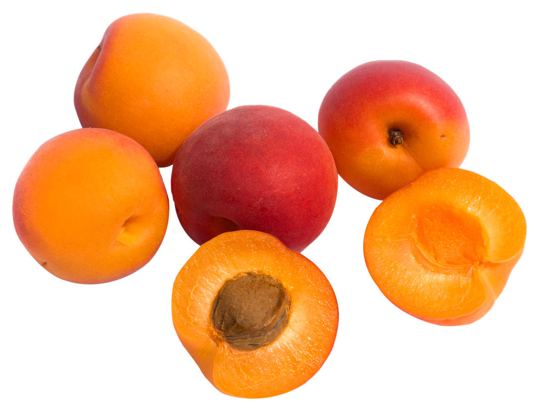 Apricot Fruit PNG Image High Quality Transparent PNG Image