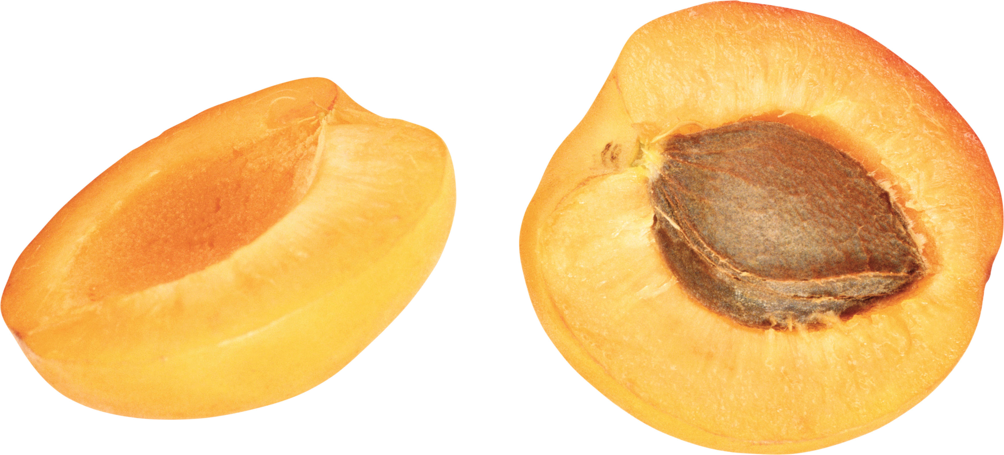 Apricot Fruit Pic Free HD Image Transparent PNG Image