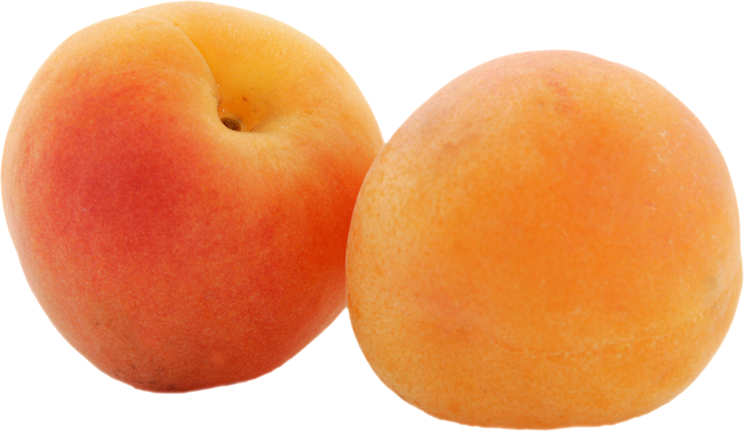 Apricot Fruit Picture PNG Image High Quality Transparent PNG Image