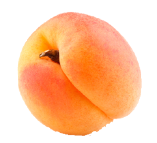 Apricot Fruit Download HQ Transparent PNG Image