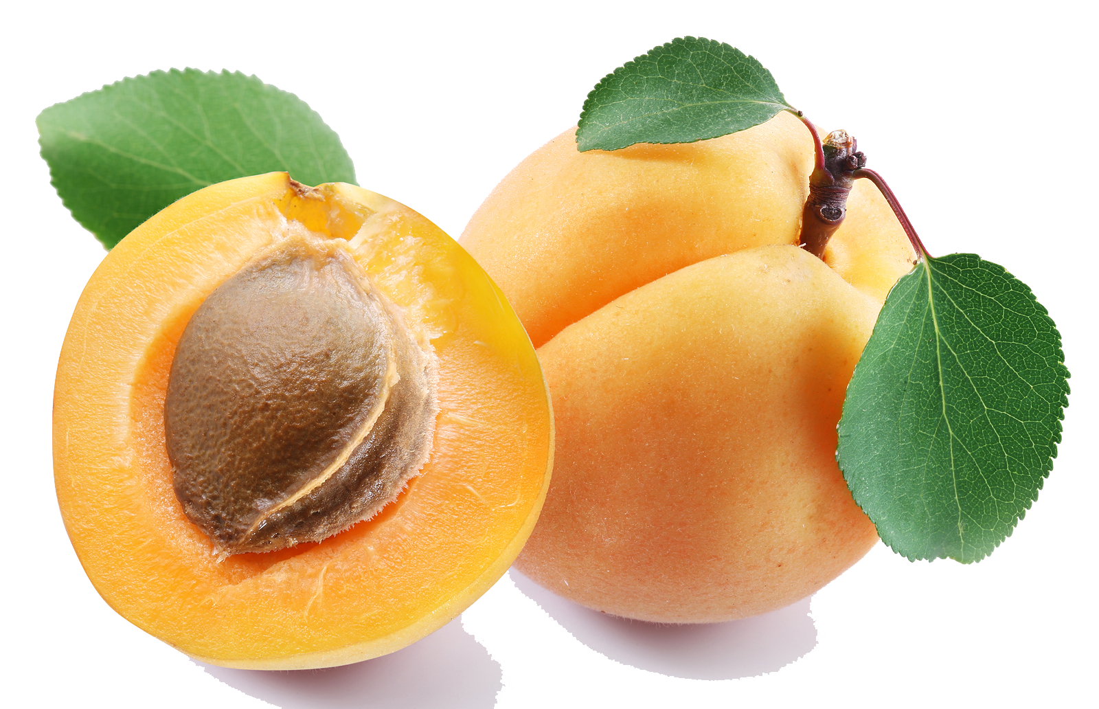 Apricot Fruit Slice Free Download PNG HQ Transparent PNG Image