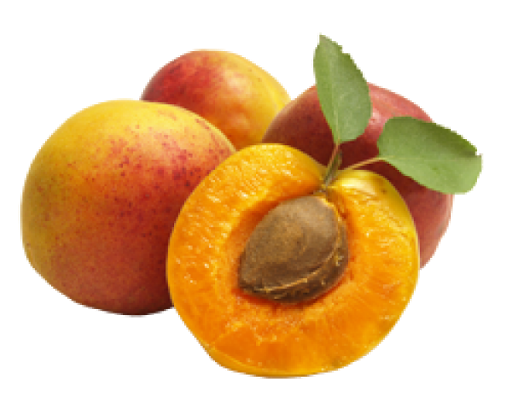 Apricot Fruit Slice Free Clipart HQ Transparent PNG Image