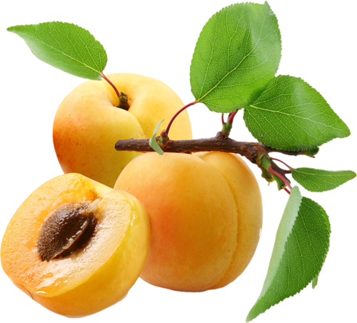 Apricot Fruit Pic Slice Free HD Image Transparent PNG Image