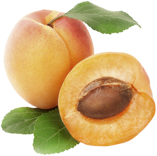 Apricot Fruit Slice Picture Free Clipart HQ Transparent PNG Image