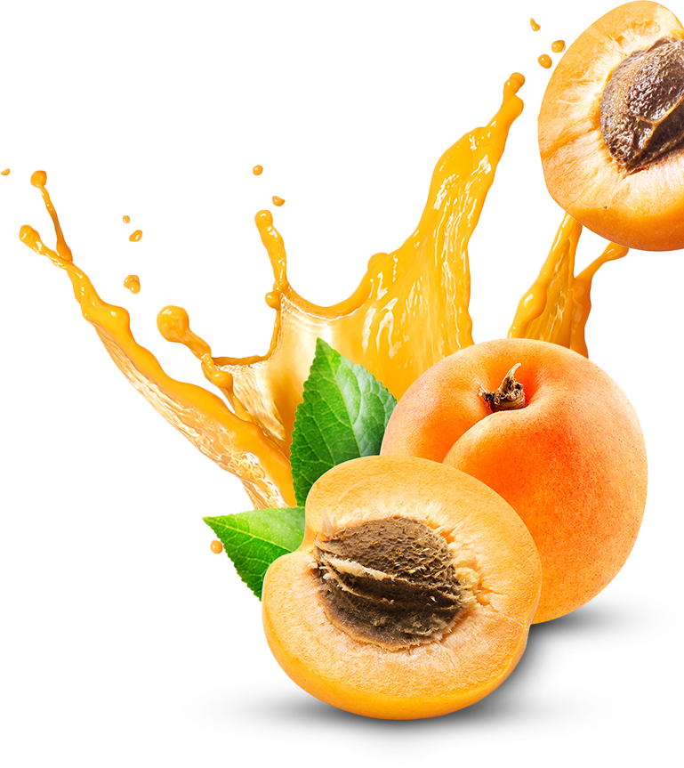 Apricot Fruit Slice Download Free Image Transparent PNG Image