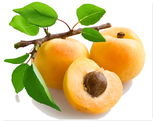 Apricot Fruit Slice Download HQ Transparent PNG Image