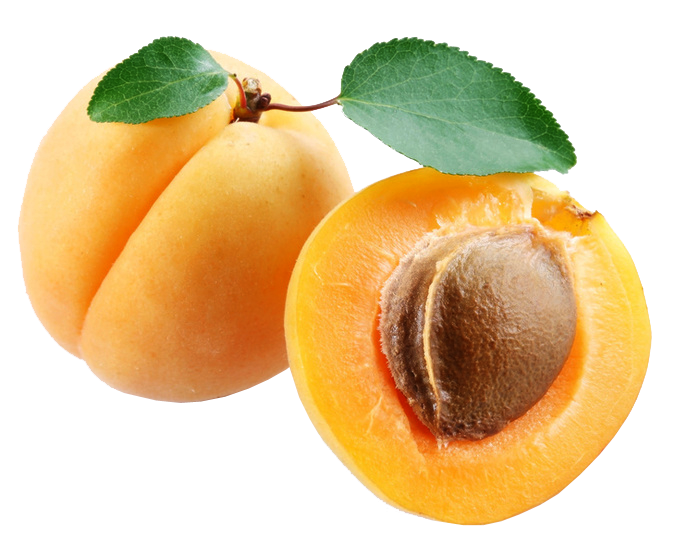 Apricot Fruit Free HD Image Transparent PNG Image