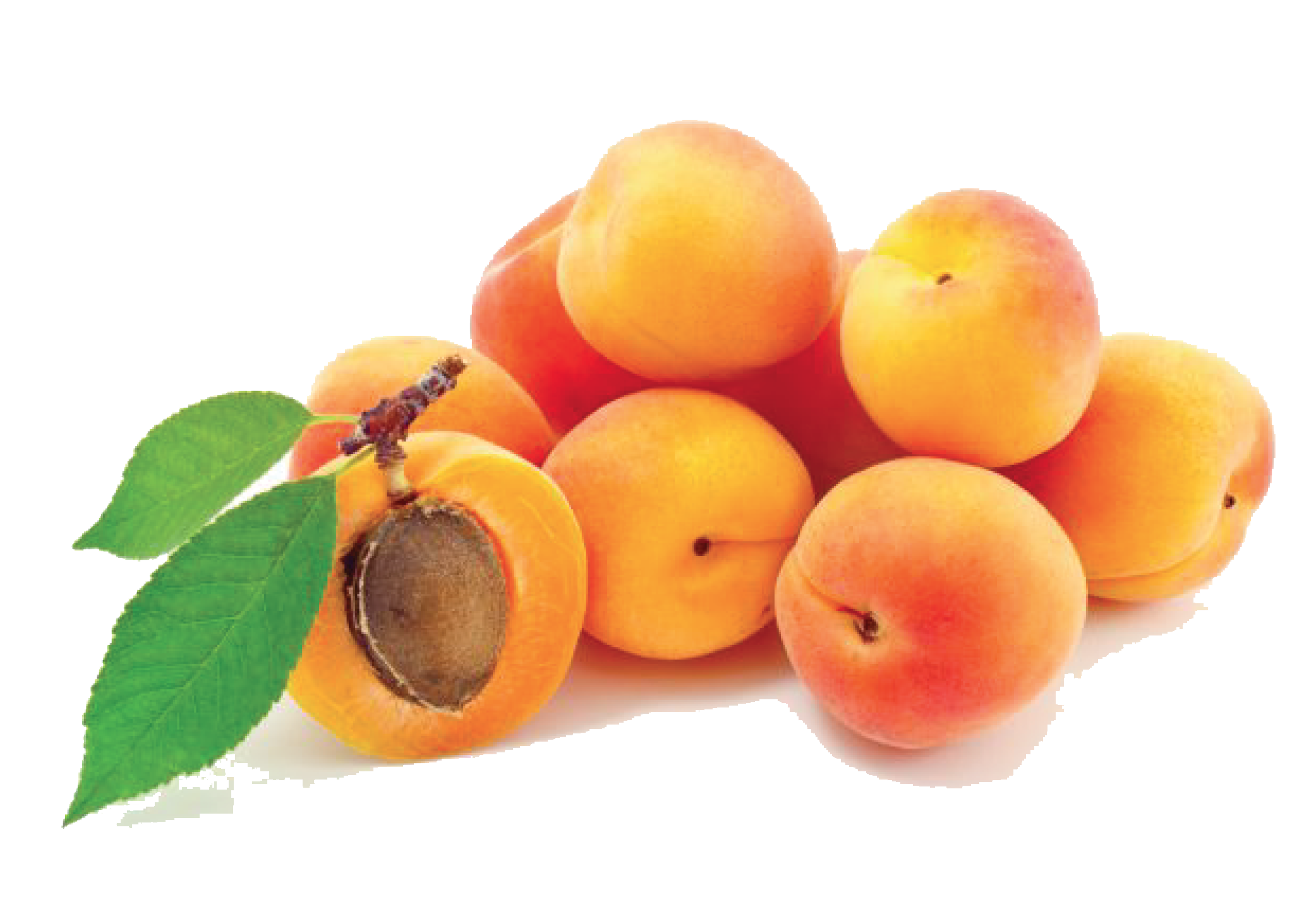 Apricot Photos Transparent PNG Image