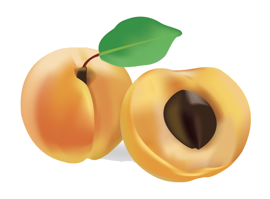 Apricot Png Image Transparent PNG Image