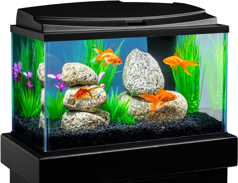 Fish Tank Aquarium PNG File HD Transparent PNG Image