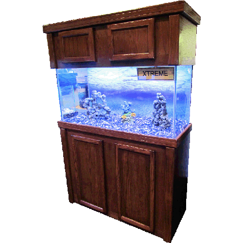 Fish Tank Aquarium PNG Download Free Transparent PNG Image