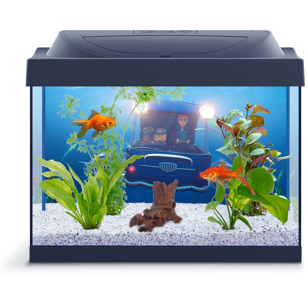 Picture Fish Tank Aquarium Download Free Image Transparent PNG Image