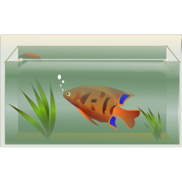 Fish Tank Aquarium Free Download PNG HQ Transparent PNG Image