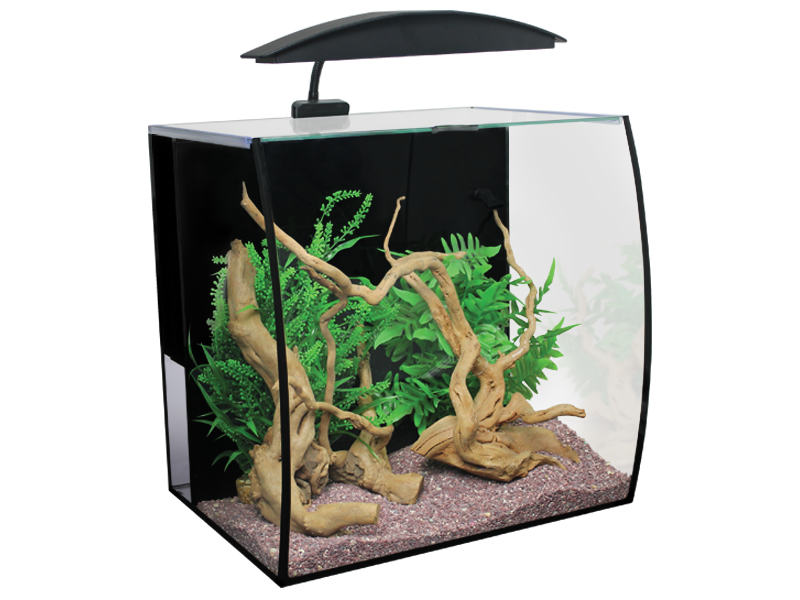 Glass Fish Tank Aquarium PNG Free Photo Transparent PNG Image