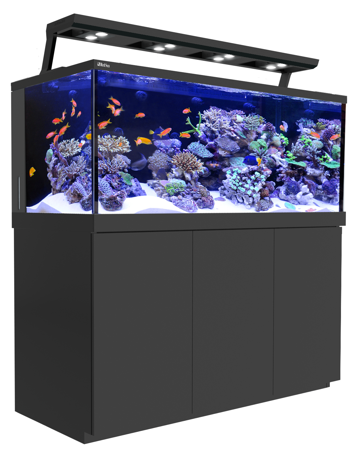 Glass Fish Tank Aquarium PNG Image High Quality Transparent PNG Image