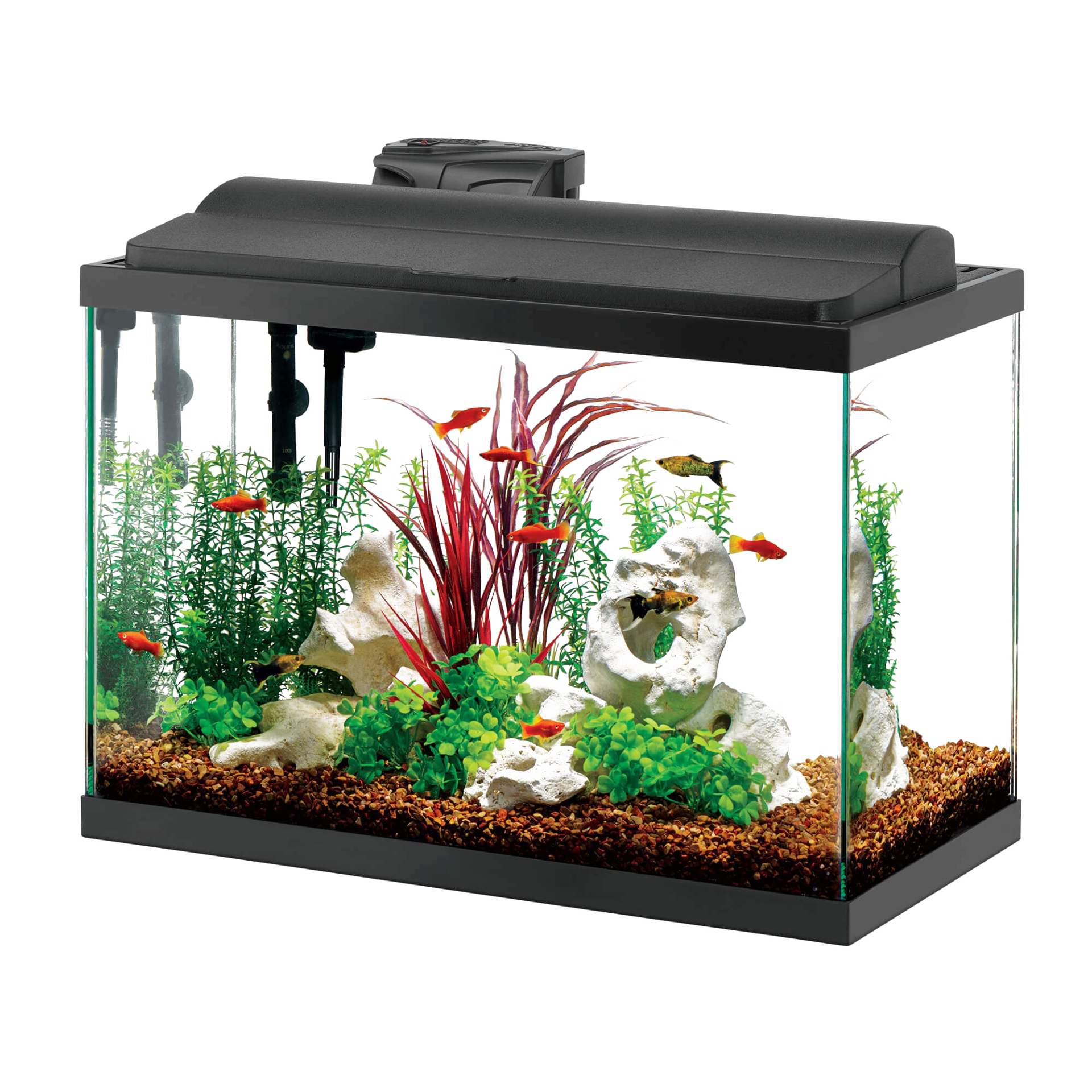 Glass Fish Tank Aquarium Download HD Transparent PNG Image