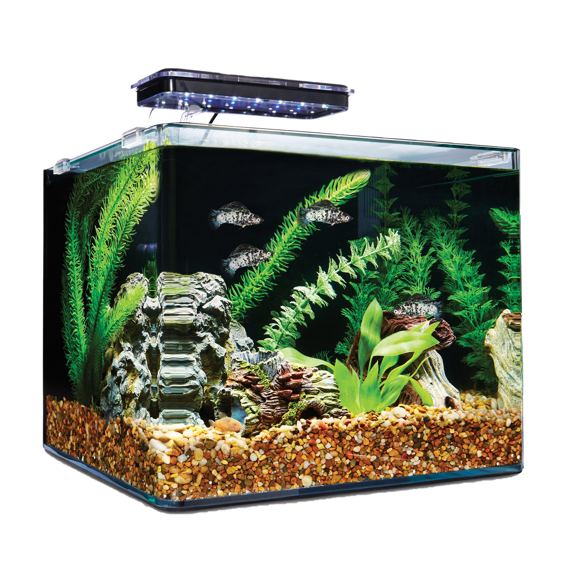 Glass Fish Tank Aquarium Free PNG HQ Transparent PNG Image