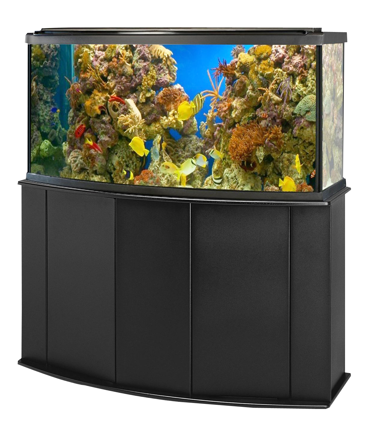 Large Fish Tank Aquarium Download HD Transparent PNG Image