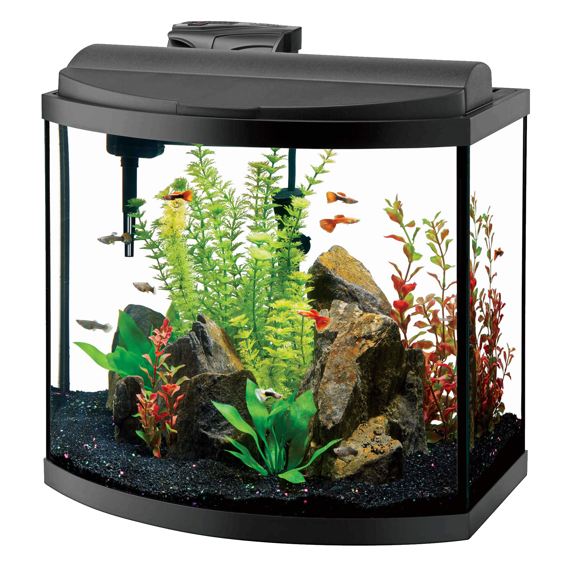 Glass Fish Tank PNG Free Photo Transparent PNG Image