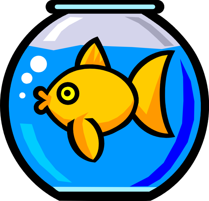 Fish Vector Tank Single Free Transparent Image HQ Transparent PNG Image