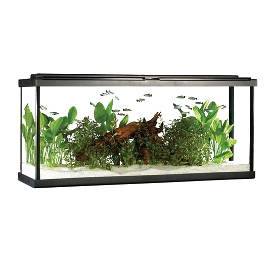 Fish Tank Rectangle Free Transparent Image HQ Transparent PNG Image