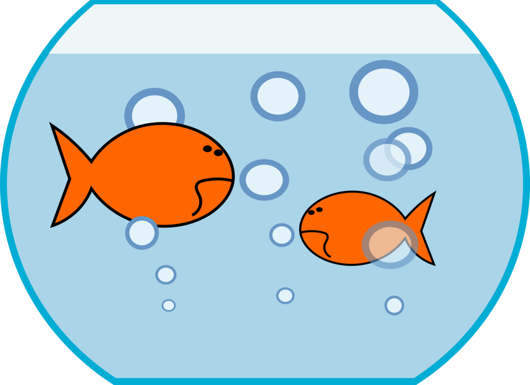 Fish Vector Tank Round PNG Image High Quality Transparent PNG Image