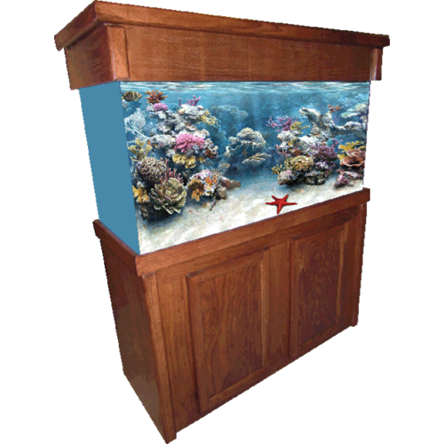 Aquarium Furniture Image PNG Free Photo Transparent PNG Image