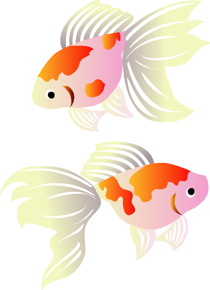 Koi Greeting Illustration Cards Goldfish Post Transparent PNG Image