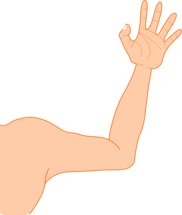 Arm Photos Transparent PNG Image