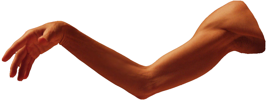 Arm Transparent Transparent PNG Image