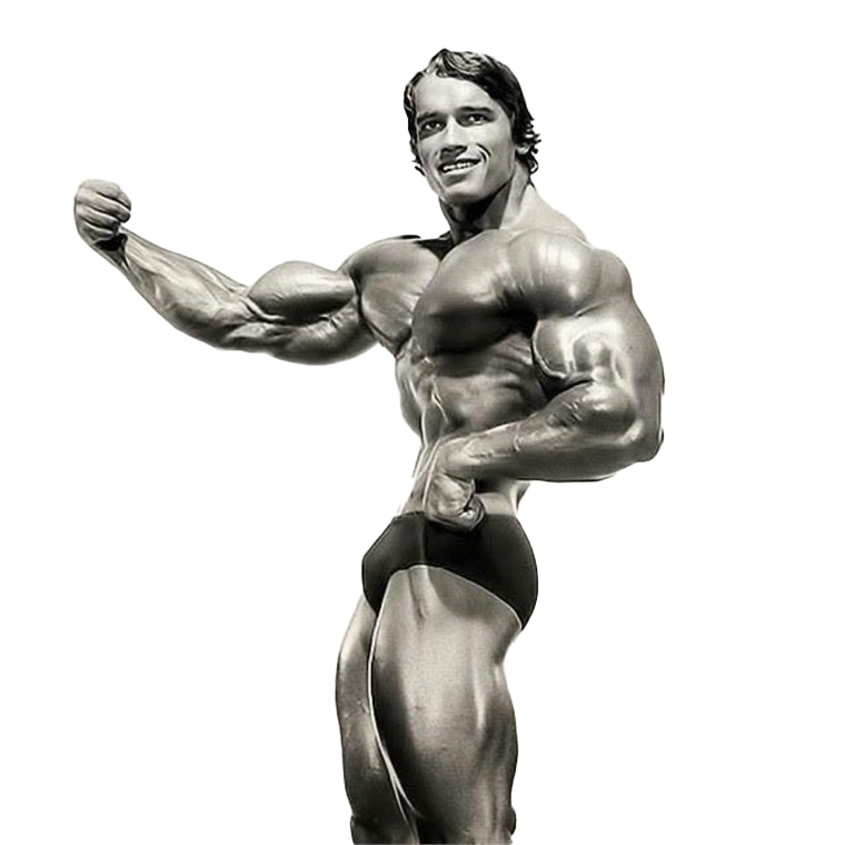 Schwarzenegger Arnold Free Clipart HD Transparent PNG Image